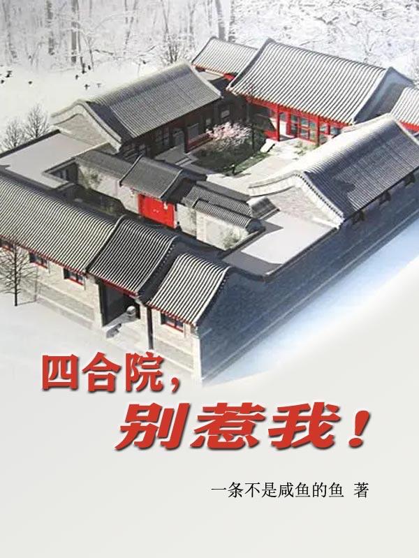 四合院 别惹我
