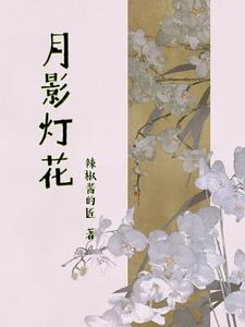 月影灯罩安装