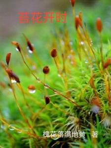苔花如米也学牡丹开深度好文