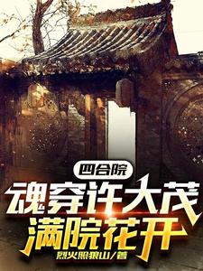 四合院开局给许大茂戴帽子 女主秦淮茹