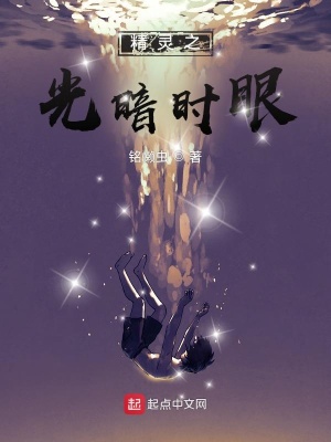 精灵之光点评