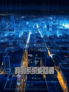 我的系统超正经小说